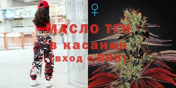 амф Верхний Тагил