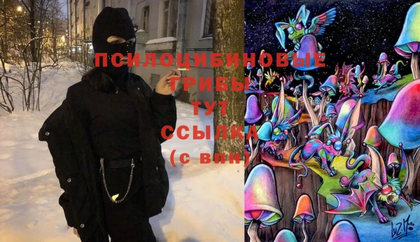 амф Верхний Тагил