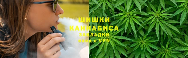 амф Верхний Тагил