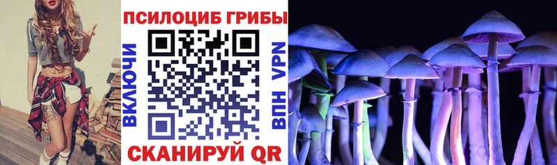 Псилоцибиновые грибы мицелий  это какой сайт  Обнинск 