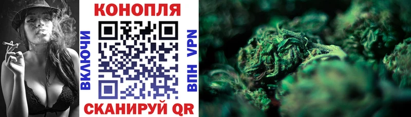 Бошки марихуана Amnesia Обнинск